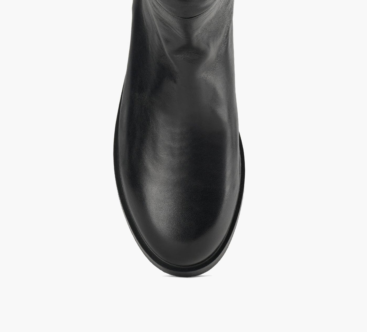THE LANE CORTADO in BLACK view 5