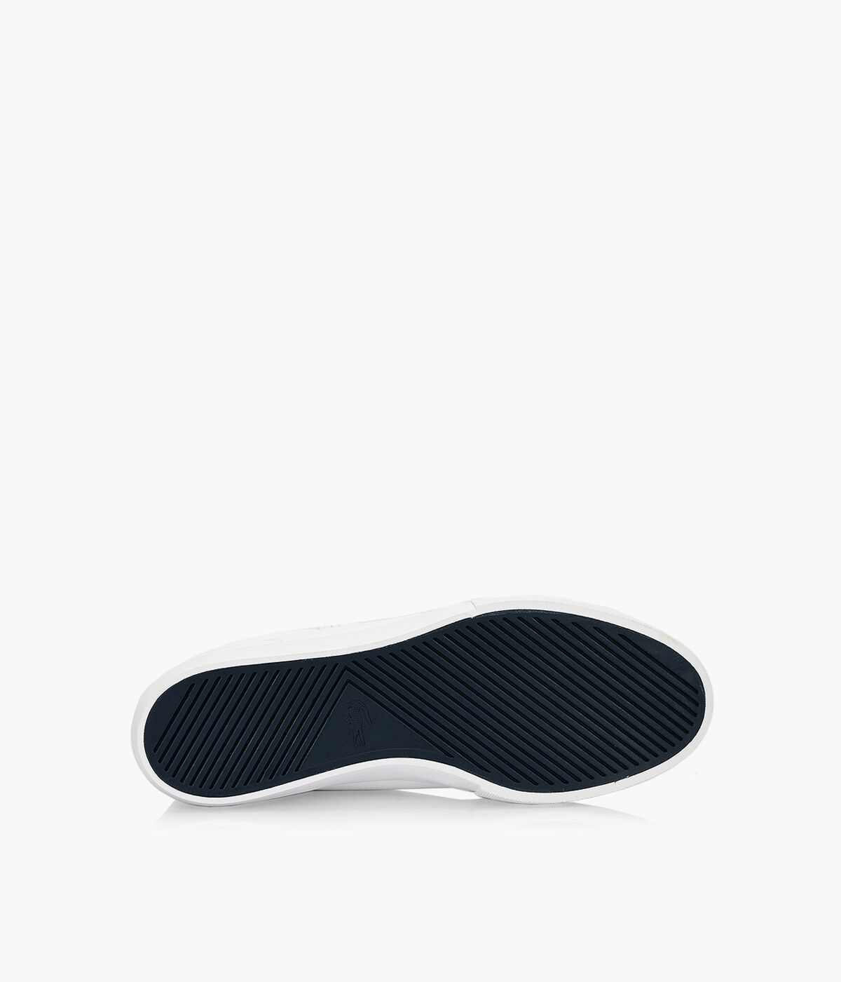 Lacoste asparta sale 318
