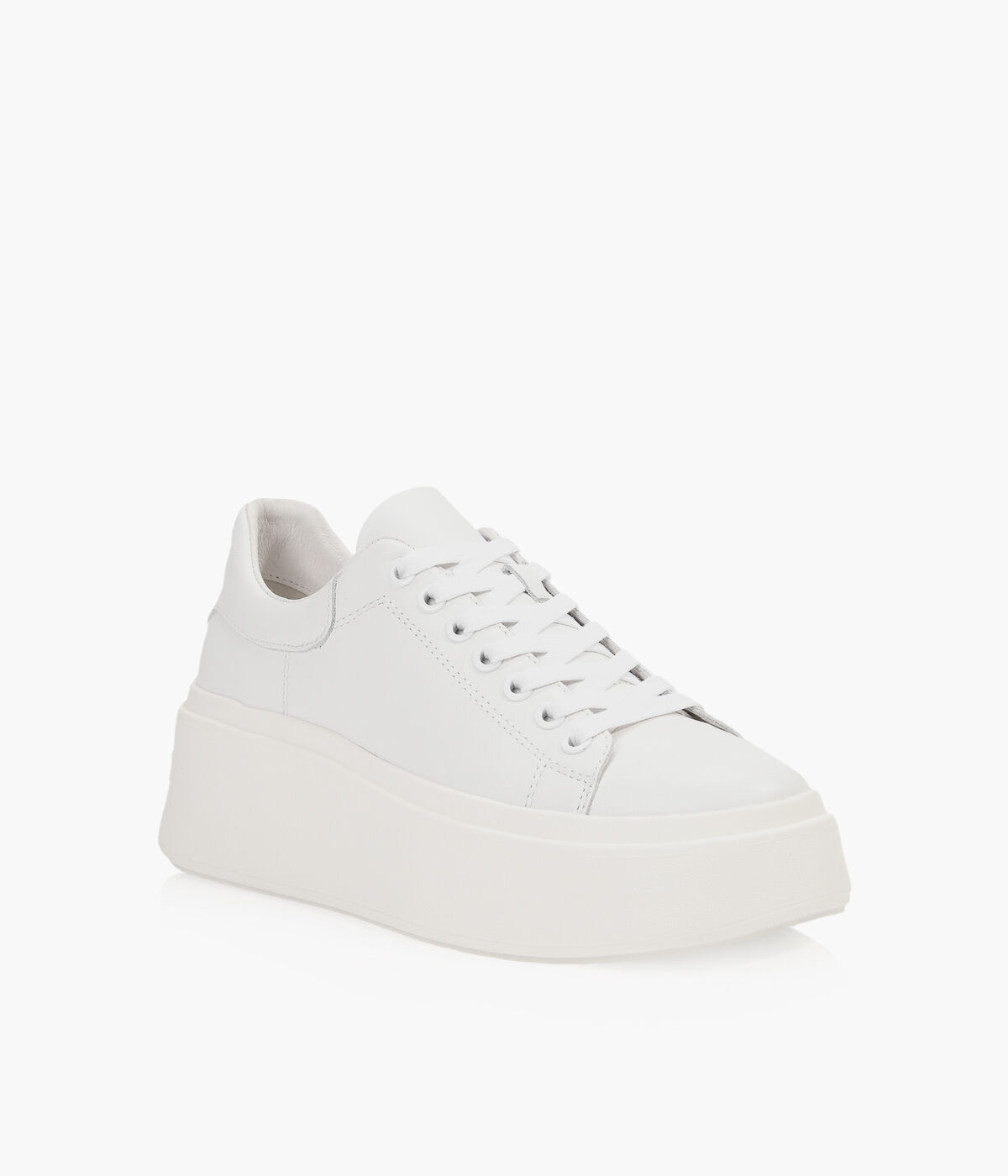 WISHBONE ABBY SNEAKER Browns Shoes