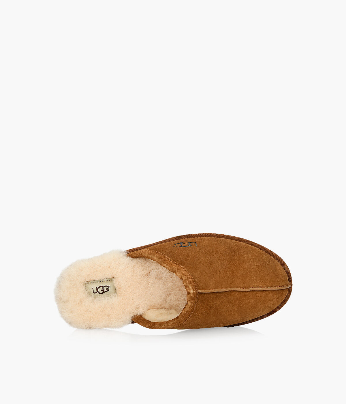 Scuff outlet slipper ugg