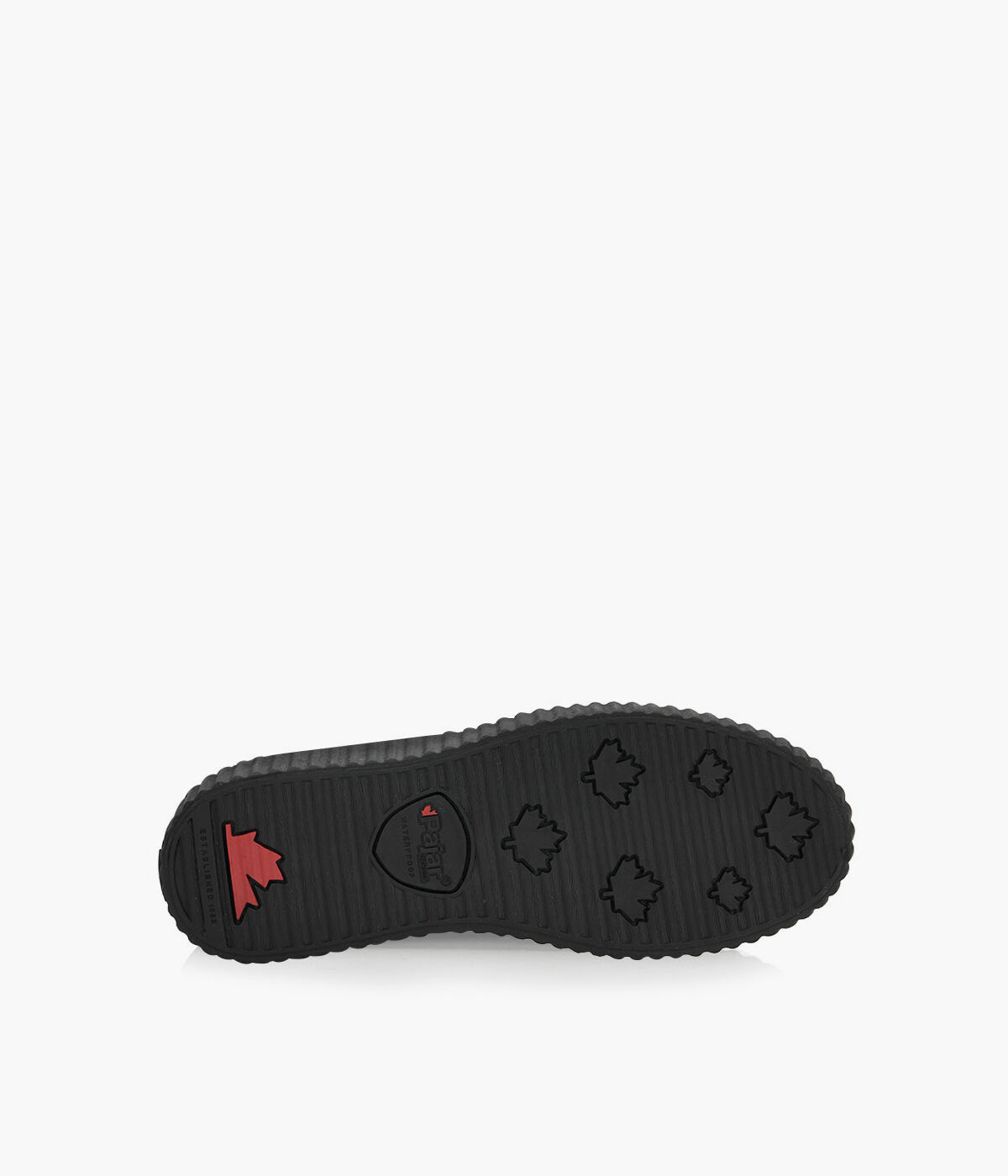 PAJAR CELIA X Black Suede Browns Shoes
