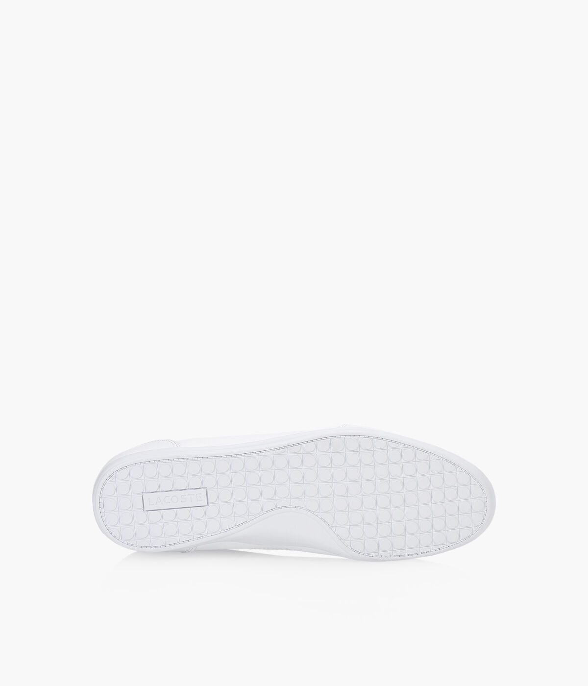 Lacoste sales chaymon sale