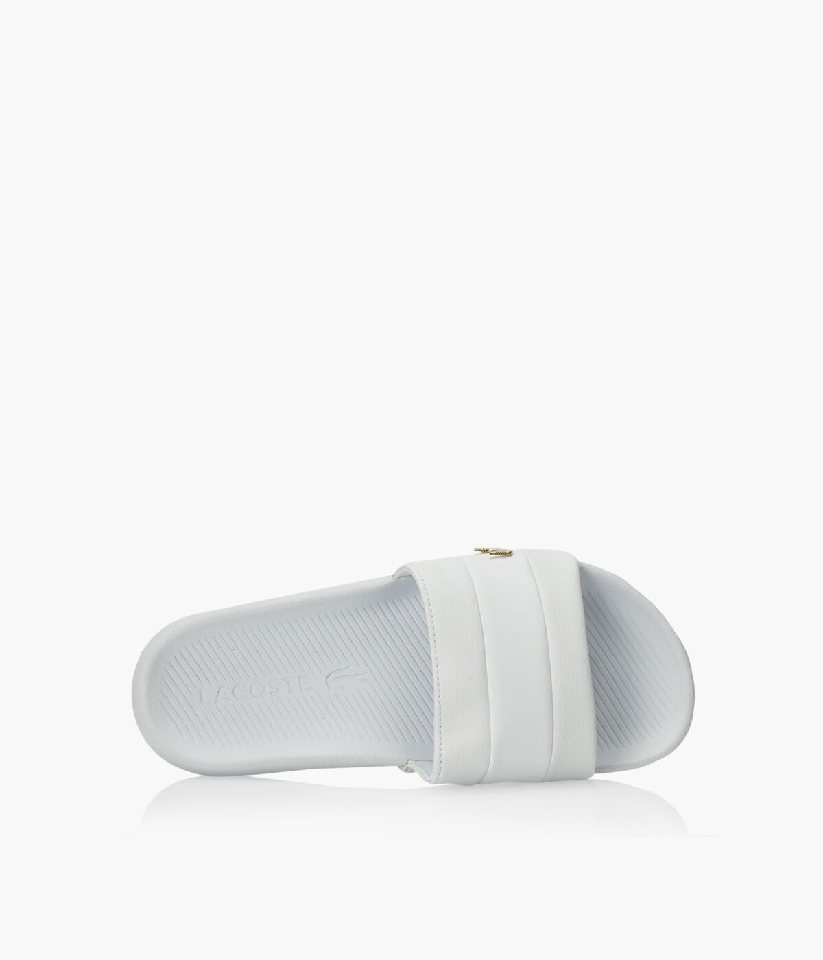Lacoste croco store slide 120 3